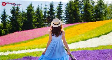 [HCM] Tour Nhật Bản Khám Phá Hokkaido Mùa Hè 2026